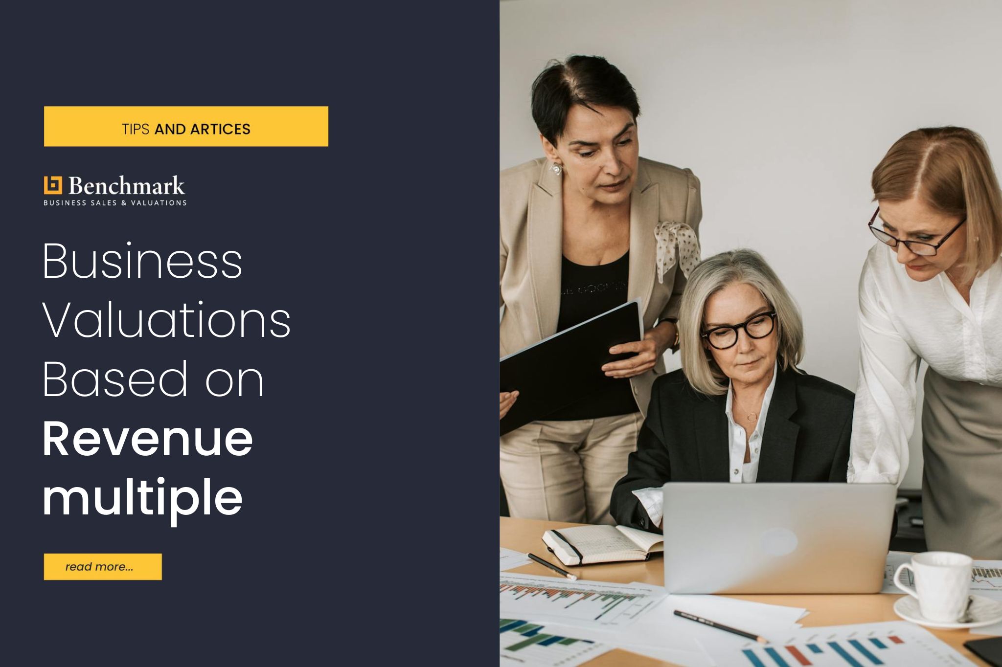Business Valuations Based On Revenue Multiple